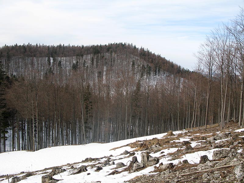 Sandkogel